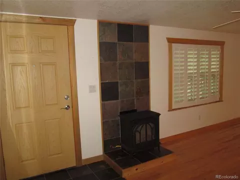 233 Sullivan St, Bailey, CO 80421 photo 10