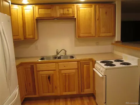 233 Sullivan St, Bailey, CO 80421 photo 18