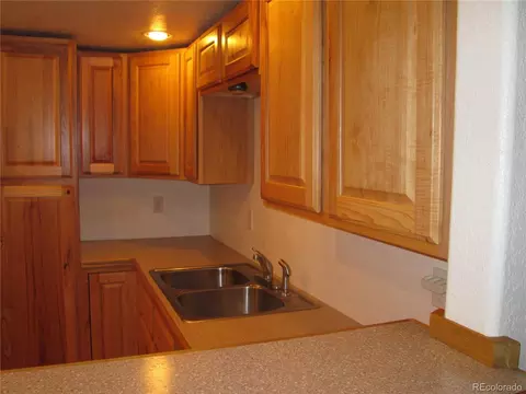 233 Sullivan St, Bailey, CO 80421 photo 17