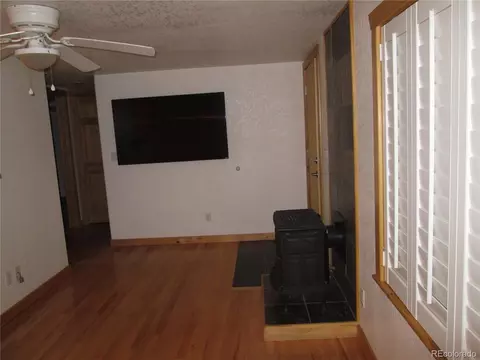 233 Sullivan St, Bailey, CO 80421 photo 15