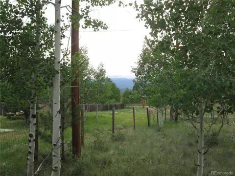 233 Sullivan St, Bailey, CO 80421 photo 6