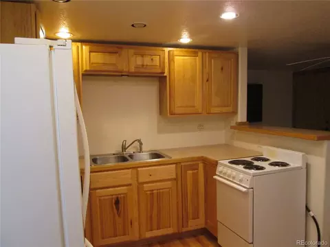 233 Sullivan St, Bailey, CO 80421 photo 8