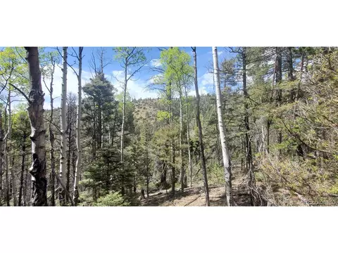 Undisclosed, Fort Garland, CO 81133