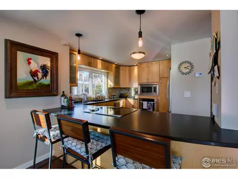 3466 Iris Ct, Boulder, CO 80304 photo 22