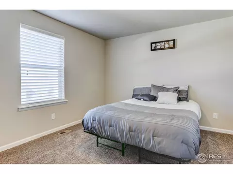 417 Ptarmigan St, Severance, CO 80550 photo 30