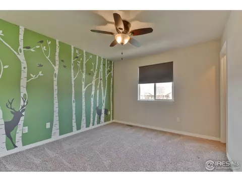 9057 Sandpiper Dr, Frederick, CO 80504 photo 19