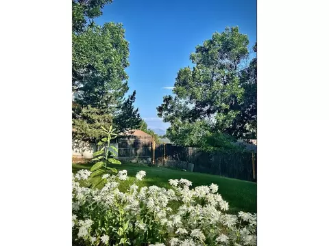 7331 Upham Ct, Arvada, CO 80003 photo 12