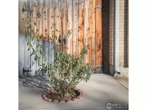 12949 E 46th Ave, Denver, CO 80239 photo 22