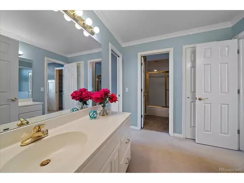 21379 Euclid Dr, Centennial, CO 80016 photo 36