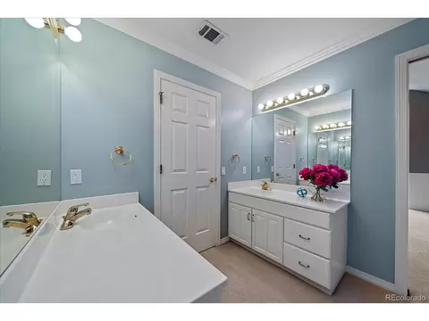 21379 Euclid Dr, Centennial, CO 80016 photo 35