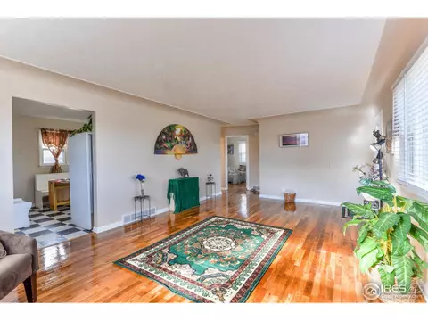 813 35th Ave, Greeley, CO 80634 photo 5