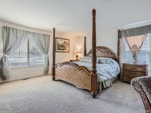 4807 Jericho St, Denver, CO 80249 photo 17
