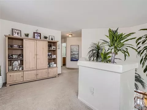 4807 Jericho St, Denver, CO 80249 photo 16