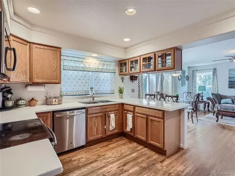 4807 Jericho St, Denver, CO 80249 photo 11