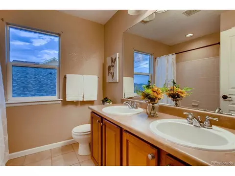 15621 E Pine Drop Ave, Parker, CO 80134 photo 26