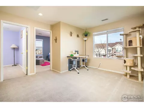 19051 E 58th Ave, Denver, CO 80249 photo 15