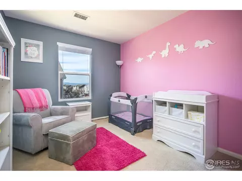 19051 E 58th Ave, Denver, CO 80249 photo 16
