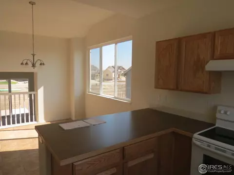 712 Elk Mountain Dr, Severance, CO 80550 photo 6