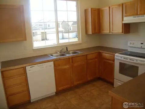 712 Elk Mountain Dr, Severance, CO 80550 photo 16