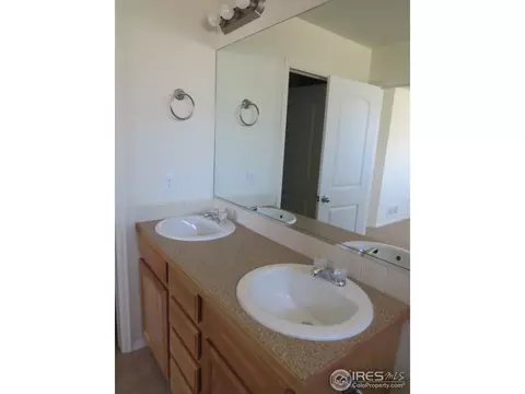 712 Elk Mountain Dr, Severance, CO 80550 photo 9