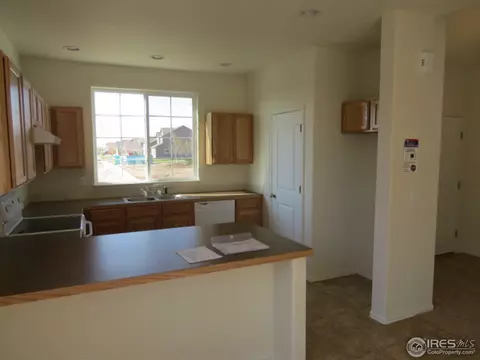 712 Elk Mountain Dr, Severance, CO 80550 photo 5