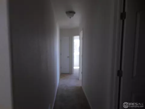 850 Sunlight Peak Dr, Windsor, CO 80550 photo 4