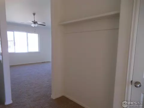 850 Sunlight Peak Dr, Windsor, CO 80550 photo 6
