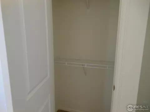 850 Sunlight Peak Dr, Windsor, CO 80550 photo 5