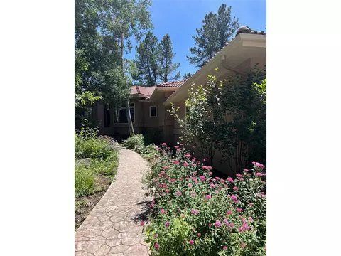 20 Castle Pines Dr, Castle Rock, CO 80108