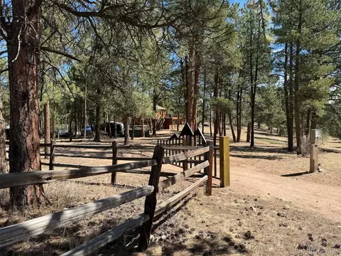 Exterior - 33623 Smith Rd, Pine, CO 80470 photo 6 of 14