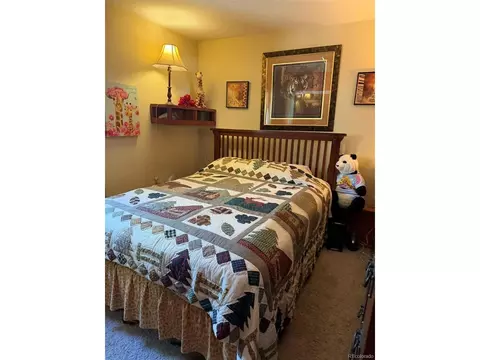 Bedroom - 33623 Smith Rd, Pine, CO 80470 photo 1 of 3