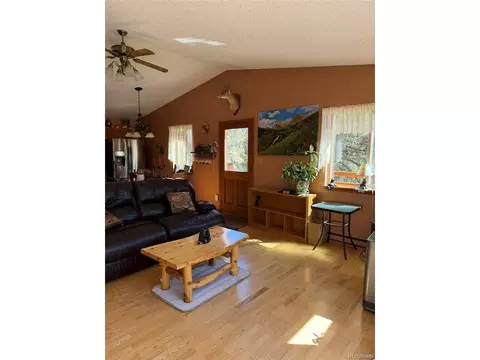 Living - 33623 Smith Rd, Pine, CO 80470 photo 3 of 4