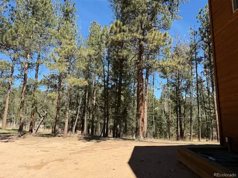 Exterior - 33623 Smith Rd, Pine, CO 80470 photo 13 of 14