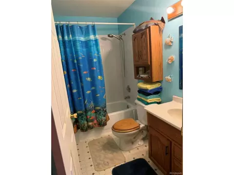 Bath - 33623 Smith Rd, Pine, CO 80470 photo 3 of 3