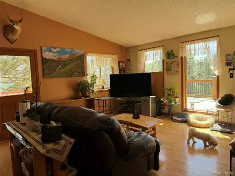 Living - 33623 Smith Rd, Pine, CO 80470 photo 2 of 4