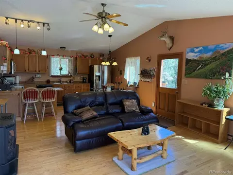 Living - 33623 Smith Rd, Pine, CO 80470 photo 1 of 4