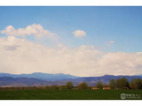 6841 Covenant Ct, Timnath, CO 80547 photo 6