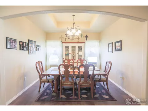 431 Gannet Peak Dr, Windsor, CO 80550 photo 15