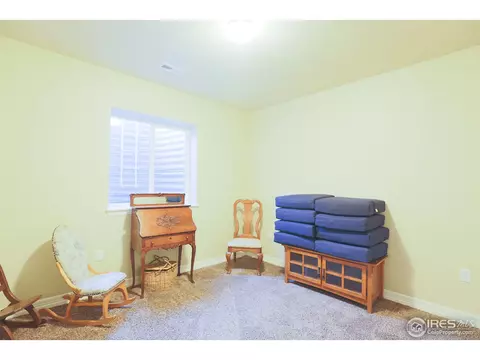 431 Gannet Peak Dr, Windsor, CO 80550 photo 26