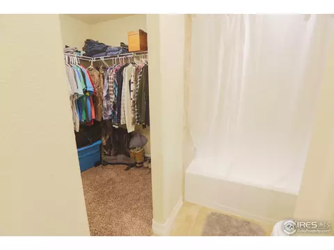 431 Gannet Peak Dr, Windsor, CO 80550 photo 30