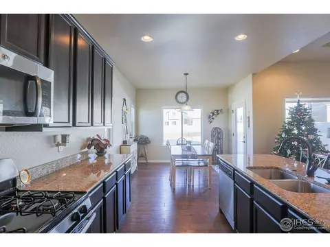 431 Gannet Peak Dr, Windsor, CO 80550 photo 13