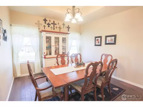 431 Gannet Peak Dr, Windsor, CO 80550 photo 16