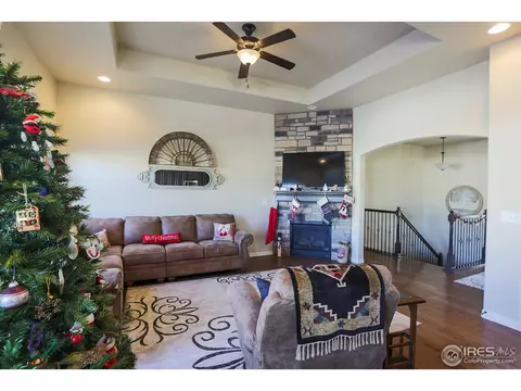 431 Gannet Peak Dr, Windsor, CO 80550 photo 8
