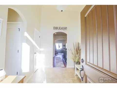 431 Gannet Peak Dr, Windsor, CO 80550 photo 5