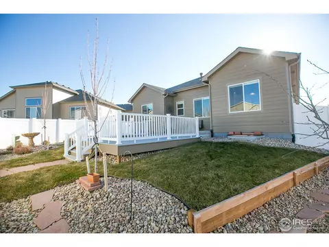 431 Gannet Peak Dr, Windsor, CO 80550 photo 33