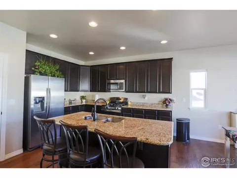 431 Gannet Peak Dr, Windsor, CO 80550 photo 10