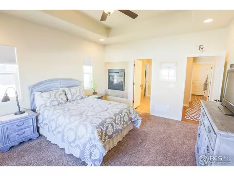 431 Gannet Peak Dr, Windsor, CO 80550 photo 19