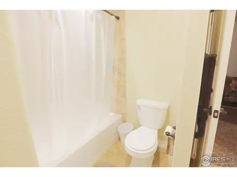 431 Gannet Peak Dr, Windsor, CO 80550 photo 32