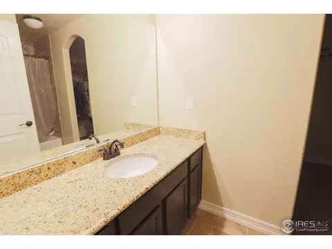 431 Gannet Peak Dr, Windsor, CO 80550 photo 31