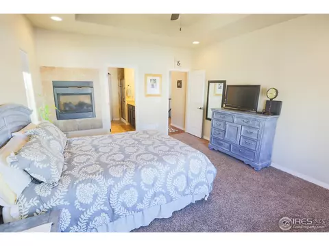 431 Gannet Peak Dr, Windsor, CO 80550 photo 20